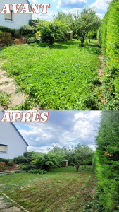 Photo de galerie - Débroussaillage 