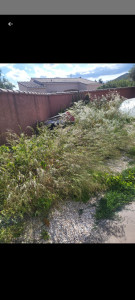 Photo de galerie - Tonte de pelouse - Débroussaillage