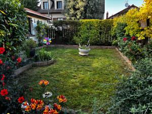 Photo de galerie - Taille haies et tonte 