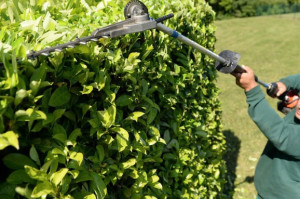 Photo de galerie - Je suis la pour vous