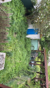 Photo de galerie - Jardinier