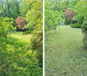 Photo de galerie - Espaces verts 