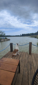 Photo de galerie - Mon fils, Althos❤️