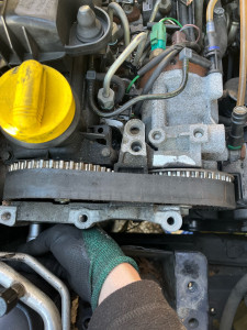 Photo de galerie - Distribution 