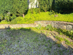 Photo de galerie - Avant le nettoyage des mauvaises herbes 