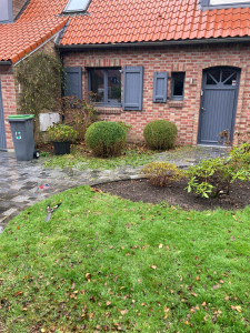 Photo de galerie - Taille de Buis en boule