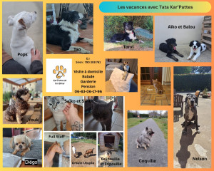 Photo de galerie - Eté 2025 - Pet Sitting - Garderie/Pension