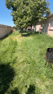 Photo de galerie - JARDY Clean prépare votre  jardin pour cette été !