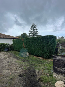 Photo de galerie - Jardinier