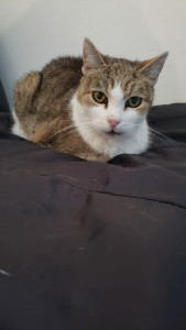 Photo de galerie - C'est l'heure des câlins ?