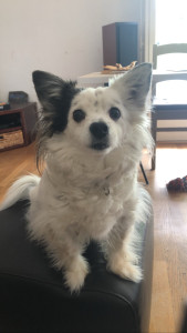 Photo de galerie -  .