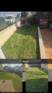 Photo de galerie - Tonte de pelouse - Débroussaillage