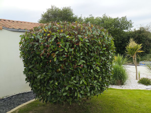 Photo de galerie - Après 