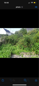 Photo de galerie - Tonte de pelouse - Débroussaillage