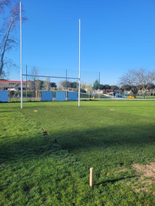 Photo de galerie - Placage gazon naturel sport 