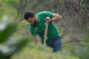 Photo de galerie - Jardinage, plantation d'arbres, nettoyage ...