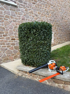 Photo de galerie - Taille d’arbuste 