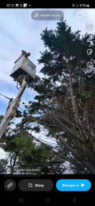 Photo de galerie - Travaille avec nacelle soigné