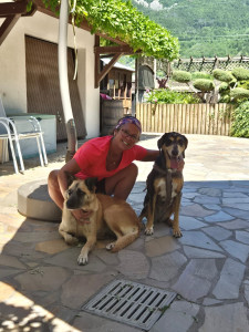 Photo de galerie - Garde animaux