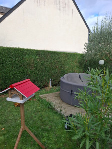 Photo de galerie - Taille de haie.