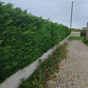 Photo de galerie - Avant