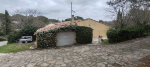 Photo de galerie - Taille de lierre grimpant sur façade