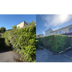 Photo de galerie - Taille de haies