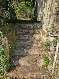 Photo de galerie - Maison abandonnée 