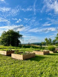 Photo de galerie - Création carrée de potager.
jardin permaculture
