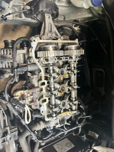 Photo de galerie - Distribution 