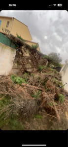 Photo de galerie - Abattage 