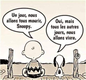 Photo de galerie - Vive la vie avec nos animauix