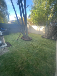 Photo de galerie - Paysagiste - Aménagement du jardin