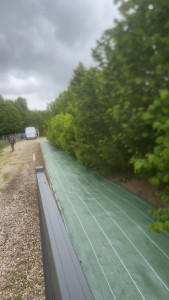 Photo de galerie - Paysagiste - Aménagement du jardin