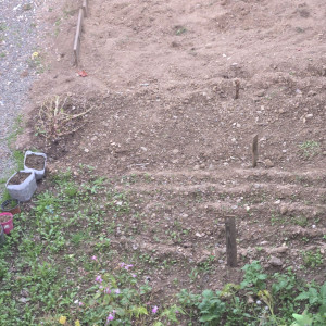 Photo de galerie - Jardinage 
