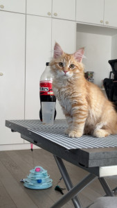 Photo de galerie - Mon neveu trop cute <3