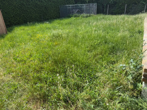 Photo de galerie - Paysagiste - Aménagement du jardin