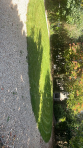 Photo de galerie - Création et ensuite entretien de pelouse