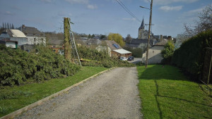 Photo de galerie - élagage sapin 