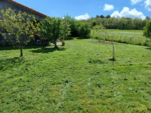 Photo de galerie - Résultat après passage de notre tondeuse-Débroussailleuse à Fléau sur des hautes herbes