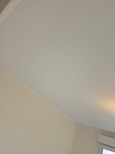 Photo de galerie - Peinture d'un plafond en mat 