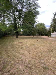 Photo de galerie - Tonte de pelouse 