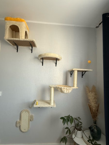 Photo de galerie - Pose d’un arbre à chat multi éléments sur mur béton 