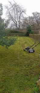Photo de galerie - Tonde pelouse, taille haie 
