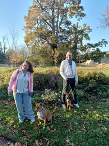 Photo de galerie - Balade Sally et Nala