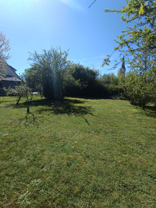 Photo de galerie - Entretien du jardin. 
débroussaillage et tonte.