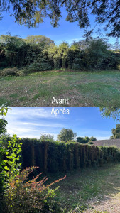 Photo de galerie - Une remise au propre visuellement folle !