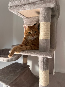 Photo de galerie - Mila 7 ans 