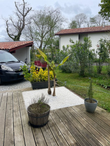 Photo de galerie - Réalisation d’un petit massif. 