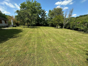 Photo de galerie - Tonte de pelouse - Débroussaillage